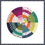 Color Wheel (Field Day) by 